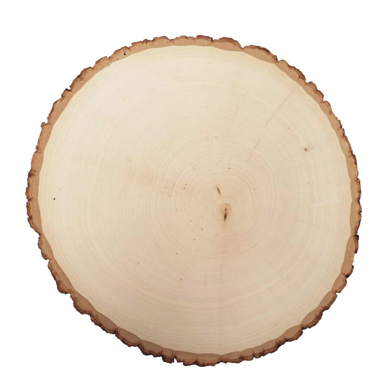 Rustic Basswood Thick Stump Small, 3-Pack for Table Centers, Floral Arrangements & Fall Decorations